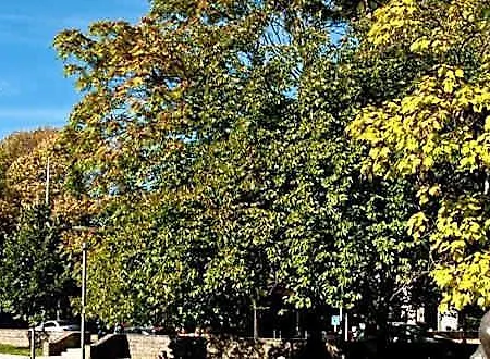 La Charbonnade Dudelange