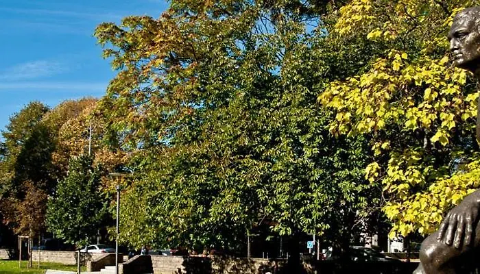 La Charbonnade Hotel Dudelange